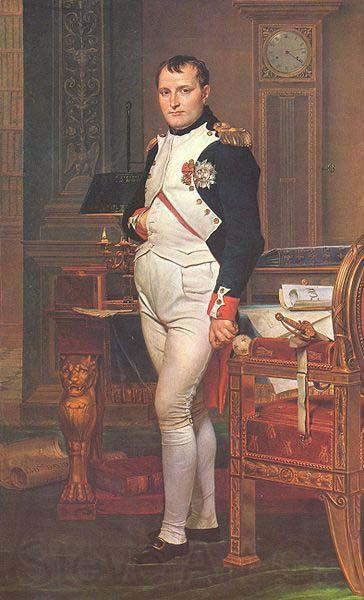 Jacques-Louis David Napoleon in His Study